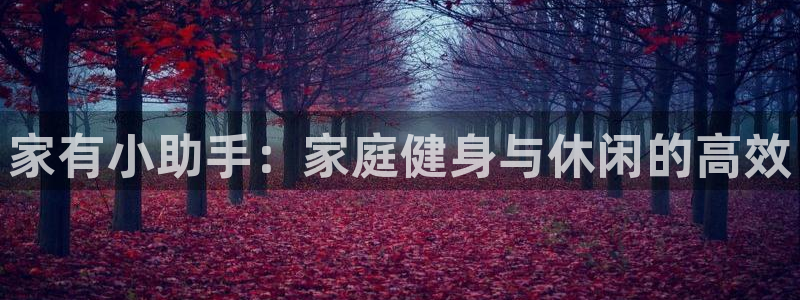 风速体育官方正版app五金厂:家有小助手:家庭健身与休闲的高