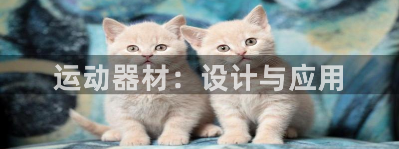 风速体育官方正版app集团logo:运动器材:设计与应用