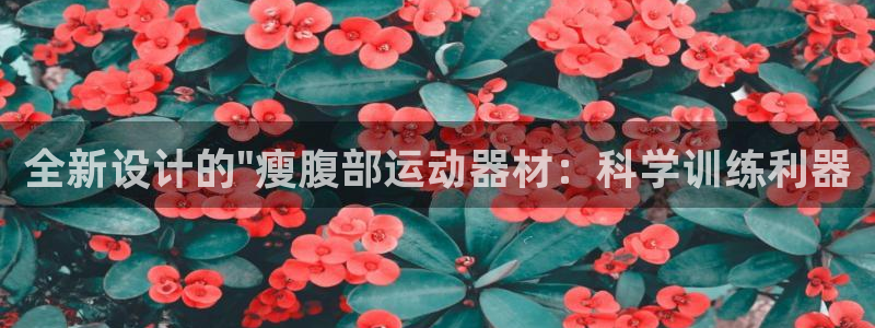 风速体育官方正版app集团简介:全新设计的\